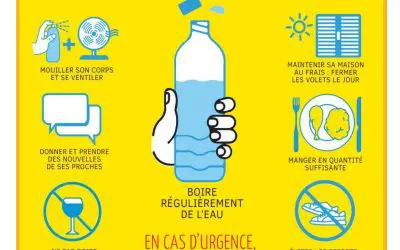 CANICULE, FORTES CHALEURS