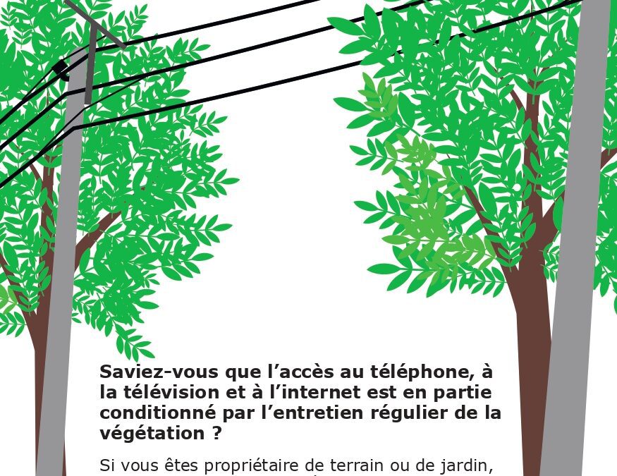 Elagage pour rester connecté